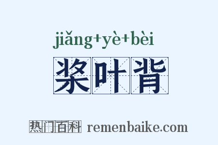 桨叶背是什么意思的图片